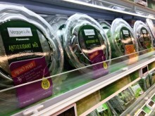 Panasonic markalı LED'de yetişmiş bu sebzeleri Singapur'daki 26 farklı noktadan satın almak mümkün.